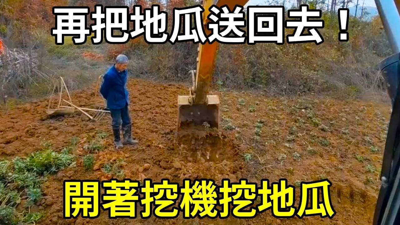 陳師傅助人為樂！幫大爺挖地瓜後，再把地瓜送回去 !【陳師傅開挖機】