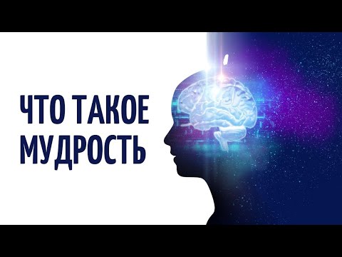 Видео: Какой пример мудрости?