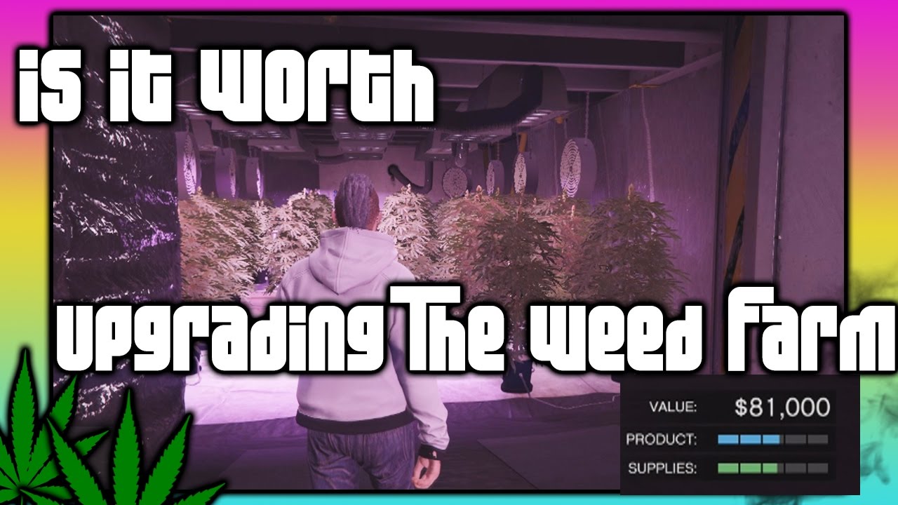 GTA 5 Online Upgrading The Weed Farm Is It Worth it Biker DLC YouTube