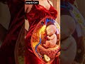 What Happens When Pregnant Women Eat Pears During Pregnancy? #pregnancy #viral