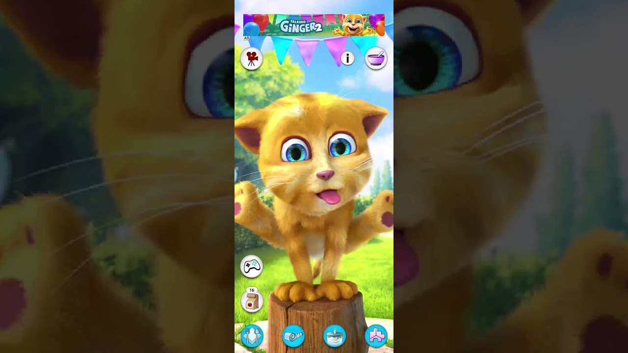 Talking Ginger 2 Gameplay – Funny Moments with Cute Ginger Cat 😂🐱 | Kids Game Play