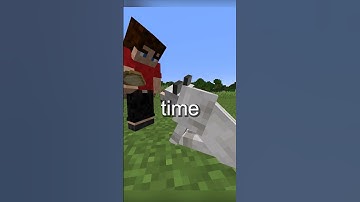 The Sad Lore Of The Wolf In Minecraft