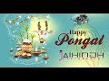 Jaihind photography pongal celebration 2019