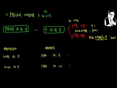 차보험나이