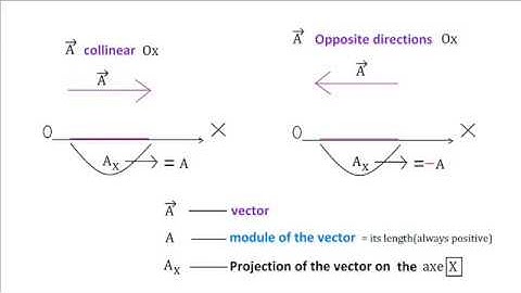 PROJECTION OF THE VECTOR ON COORDINATE AXES.Basic operation for physical problems.