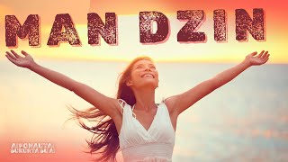 Man Dzin - Aifonautai