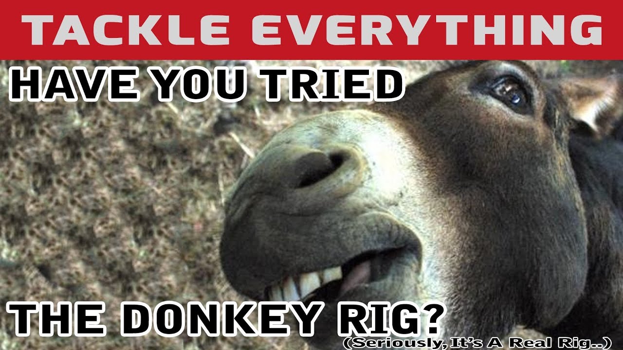 THE DONKEY RIG IS AN ACTUAL THING. HAVE YOU TRIED IT? Donkey Rigging ...