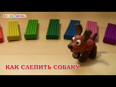 Как сделать собаку из пластилина своими руками