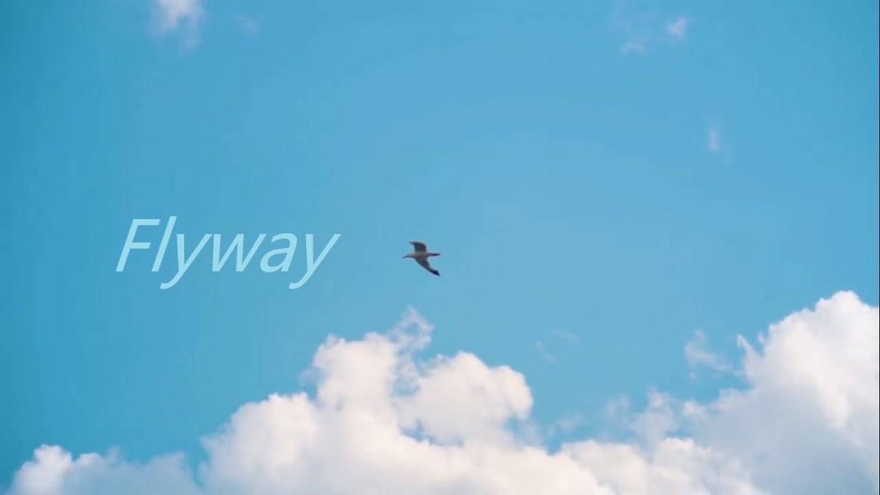 YouTubeでFlyway (Yosuke Onuma) from album "Crossborder" by 永田ジョージ ＆ コモブチキイチロウを視聴