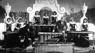 Marimba Band and a Crazy Bass Player