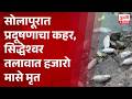 Pollution Crisis Alarms Solapur | सिद्धेश्वर तलावात हजारो मासे मृत