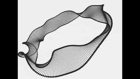 Torus pair line. Draw by openFrameworks