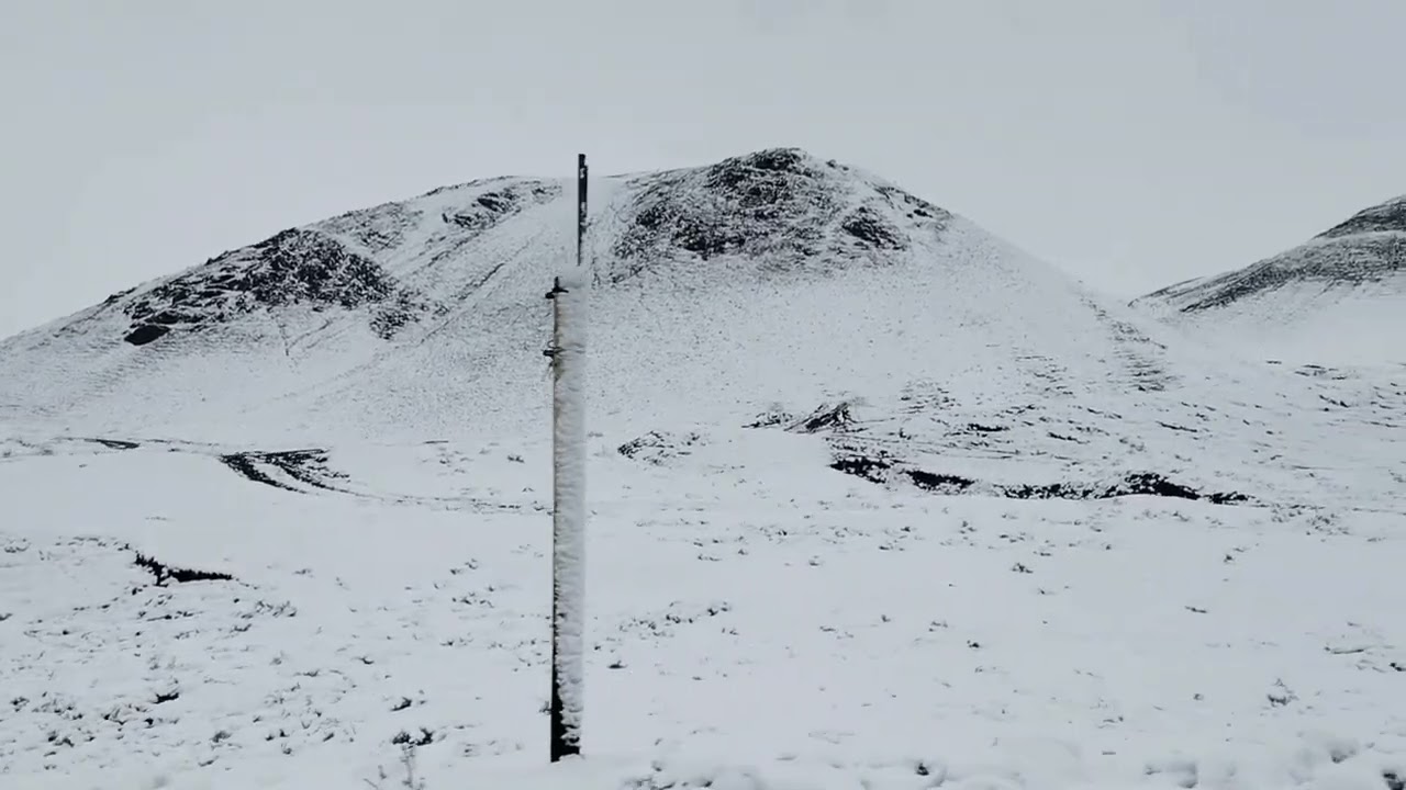 18 января 2026 г.