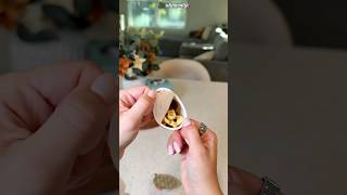 A Child In The Us Orders A Kinder Joy