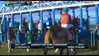 Race 9 BELMONT AT THE BIG A 01 NOV 2025