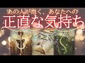 あの人が抱くあなたへの正直な気持ち❤️‍🩹【 恋愛 タロット オラクル カード 占い 】