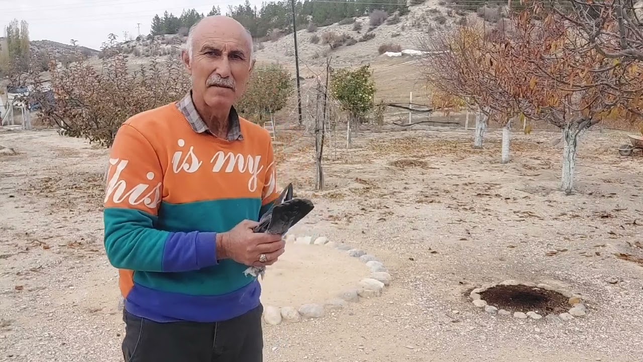 Konya Kuşu & Benekli GÜLÜMSÜ 