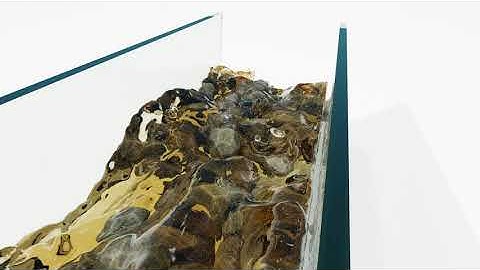 River Flow (Blender Fluid/Water Simulation)