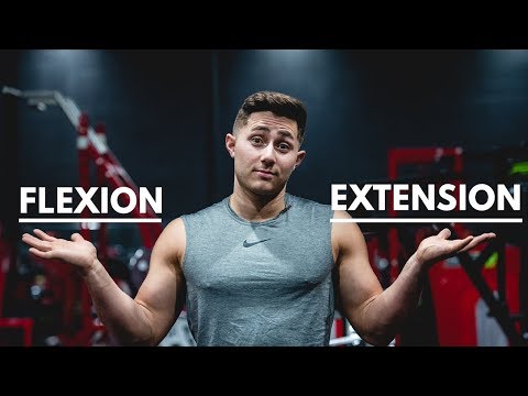 Flexion vs. Extension (EXPLAINED!)