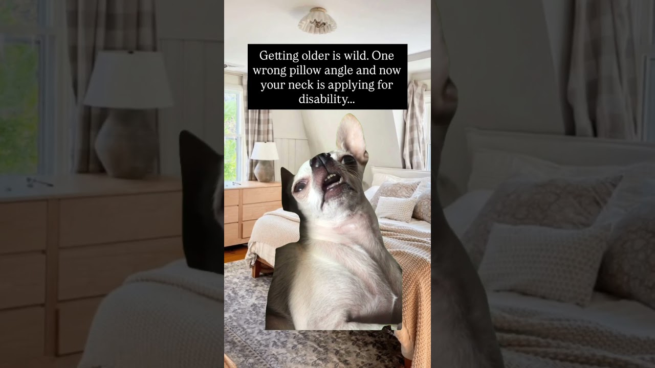 Went to bed fine, woke up 85. #memes #shorts #short #comedy #humor