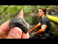 Exploring Florida Swamps for Shark Teeth (With a Canoe) | Florida Fossil Hunting