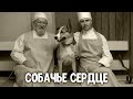 Собачье сердце 2 серии научная фантастика 1988 HD Собачье сердце 2 серии научная фантастика 1988 HD