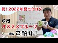 【お中元ギフト】2022年の夏カタログができました！6月からのオススメフルーツもご紹介♪【果物紹介】