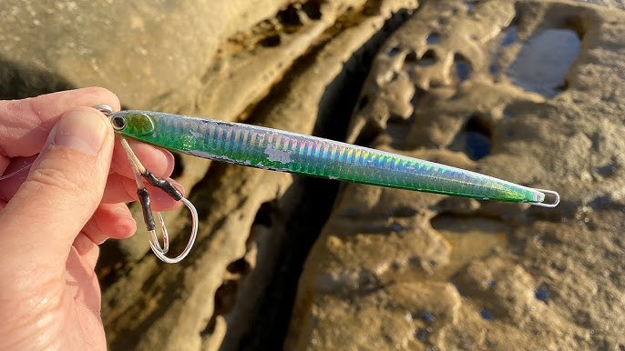 A sunny afternoon spinning lures for bonito in Sydney NSW