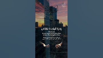 تلاوة خاشعة من أواخر سورة البقرة || ربنا ولا تحملنا مال طاقة لنا به || قران || quran || دعاء