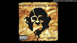 Darwin&#39;s Waiting Room - Innosense