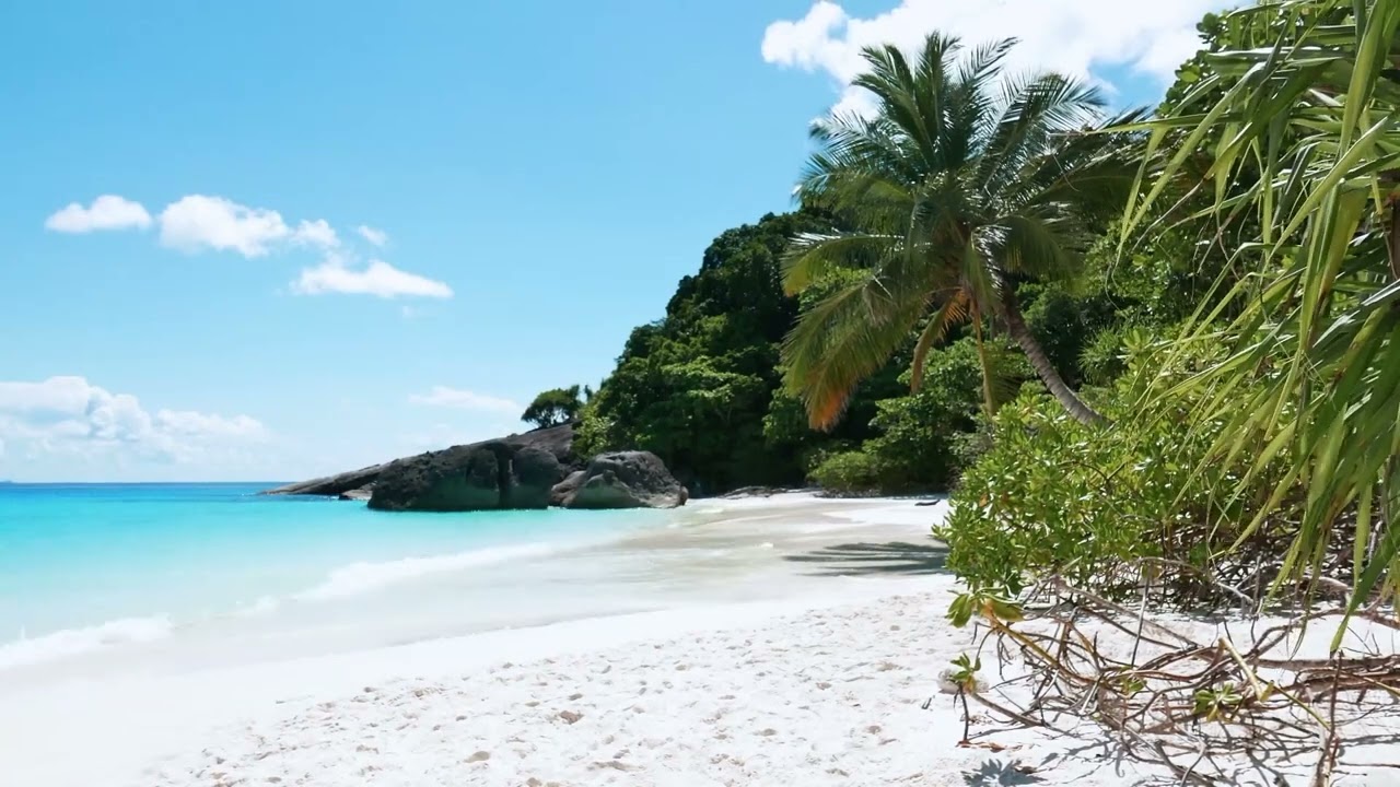 Tropical Shores - Caribbean Beachside Ambience