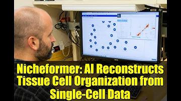 Nicheformer: AI Reconstructs Tissue Cell Organization from Single-Cell Data