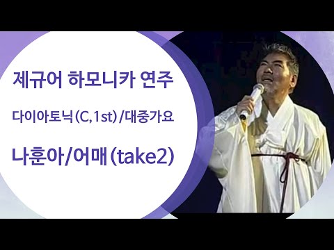 제규어 하모니카 연주(나훈아-어매)(take2)