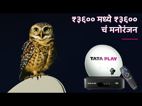 मोफत एचडी सेट टॉप बॉक्स, रिमोट आणि इन्स्टॉलेशन – फक्त Tata Play सोबत! आताच तुमची धमाका ऑफर मिळवा!