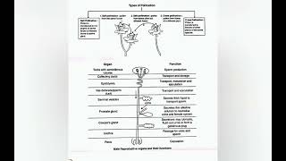 Clas -10 Bio Flow Chart