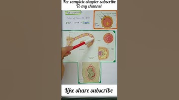 जनन #ncert #science #shorts