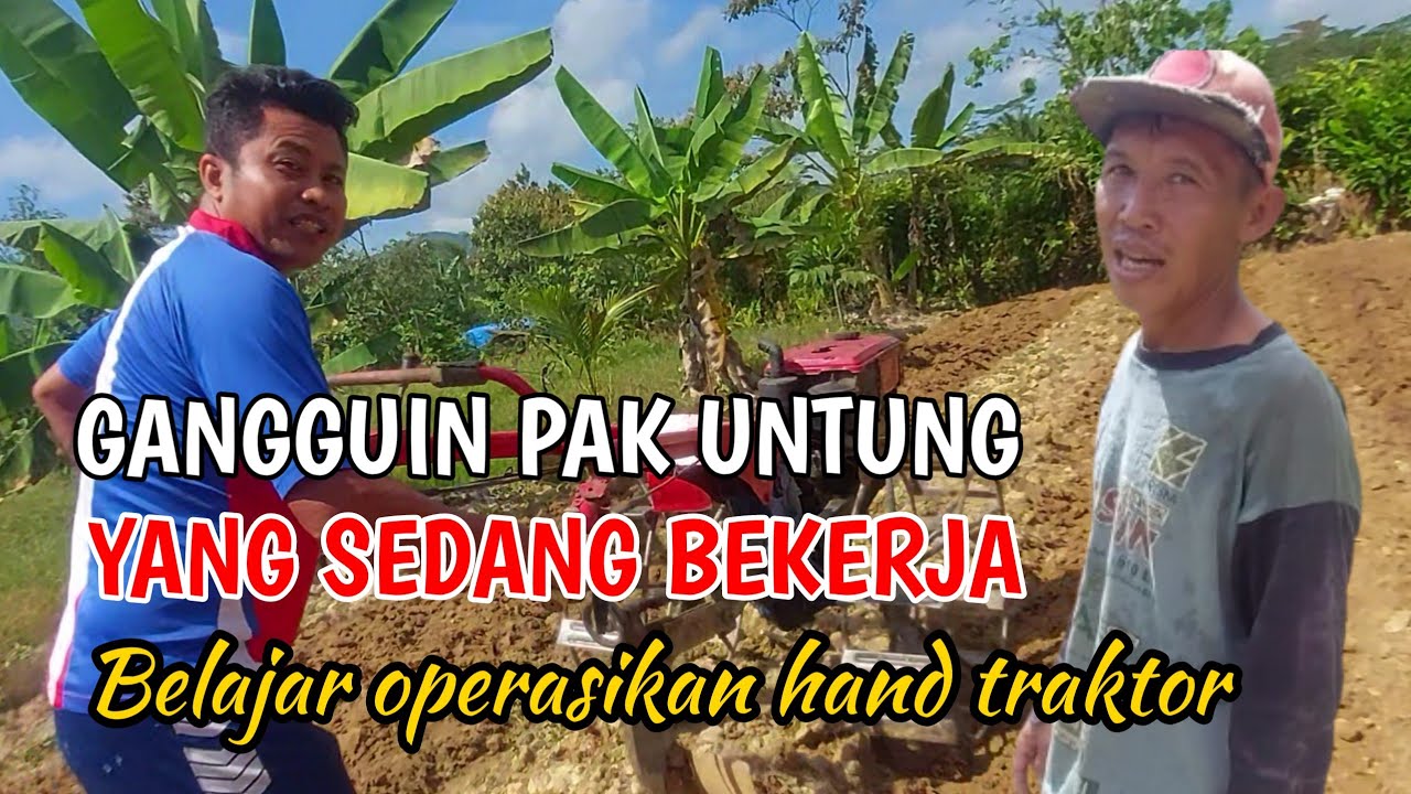 MELIHAT AKTIFITAS PAK UNTUNG SETELAH SEMBUH DARI SAKIT || MULAI AKTIF DIKEBUN LAGI