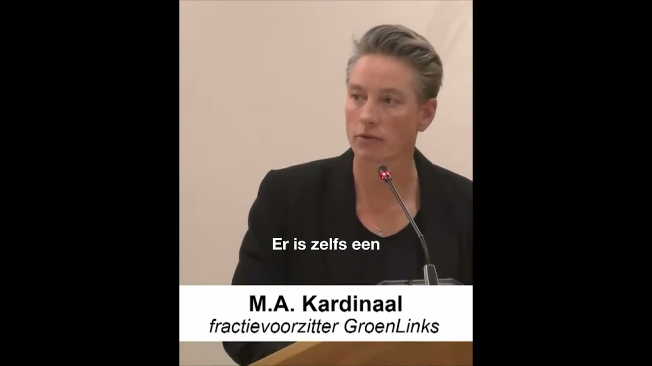 Begrotingsraad; Lage lasten gaan ten koste van voorzieningen