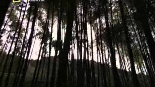 National Geographic - The Sword Of The Samurai.flv