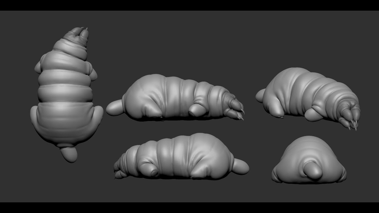 how to model a a bug in zbrush