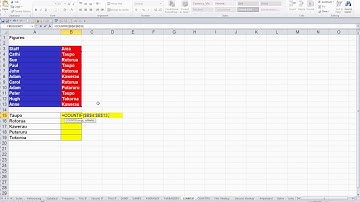 Microsoft Excel 2010 Level Two Video 12 COUNTIF function