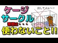 【犬 ケージ サークル】理想はケージやサークルを使わないこと!!新！遠藤エマチャンネル【犬のしつけ＠横浜】