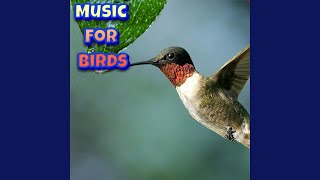 Peaceful Bird Music screenshot 5