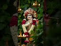 Jay Shree Krishna 🙏🙏🙏 #shortsfeed #jayshreekrishna #krishnalove #radheradhe @WonderGreen2K #god