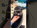 Ranking the FUNNIEST Sea Lion moments!!😂