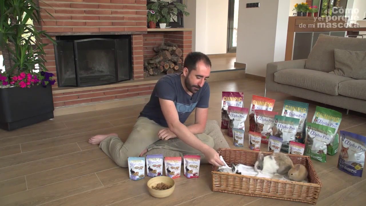 camera iphone 8 plus apk Alpha Pro Snack for small animals