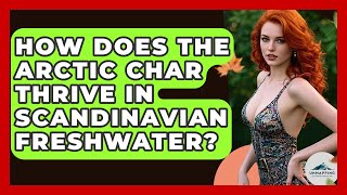 How Does The Arctic Char Thrive In Scandinavian Freshwater? - Unmapping Scandinavia