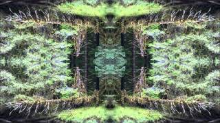 Hypercycle - Hypercycle