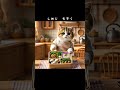 AI猫の作り方をプレゼント中🎁プロフをチェック！　確実に痩せるお弁当箱の歌　#Buzz さん　#cat #猫　#ai #AICat #猫動画　#お弁当箱の歌