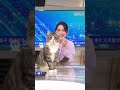 スタジオに迷い猫！？